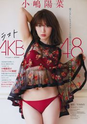 [Weekly Big Comic Spirits] Haruna Koshima, 2017 №19 Photo Magazine