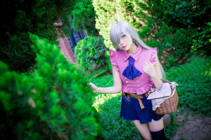 [Welfare COS] Anime blogger Asano Mushroom - The Seven Deadly Sins Elizabeth Leones