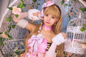 Coser Ono hermana con "Love Live! (Southern Bird)"